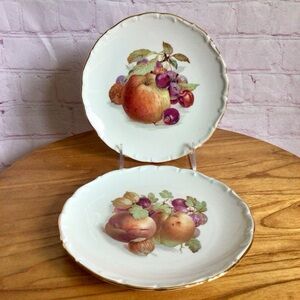 Vintage Bavaria Schumann Arzberg Fruit Motif Porcelain Plates - Set of 2